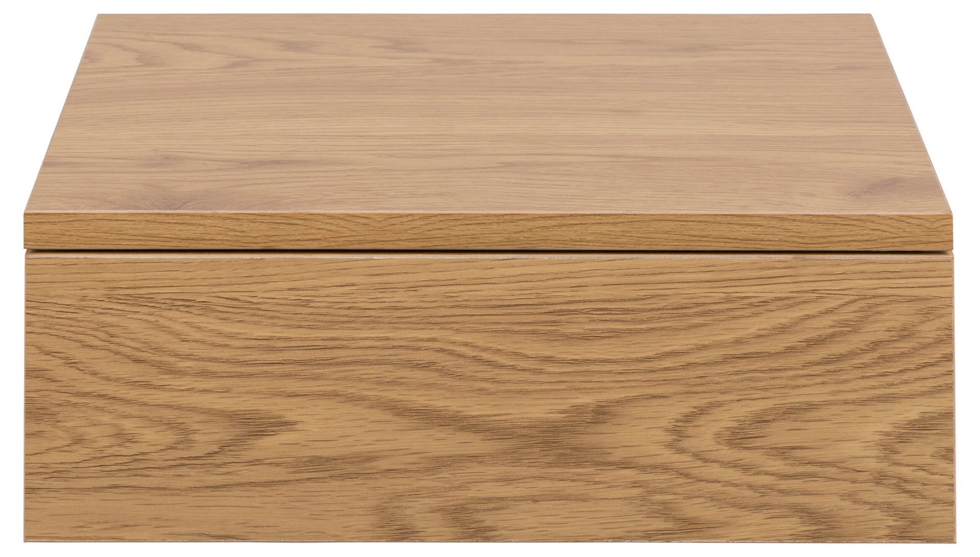 NOPTIERA PATRATA AVIGNON STEJAR