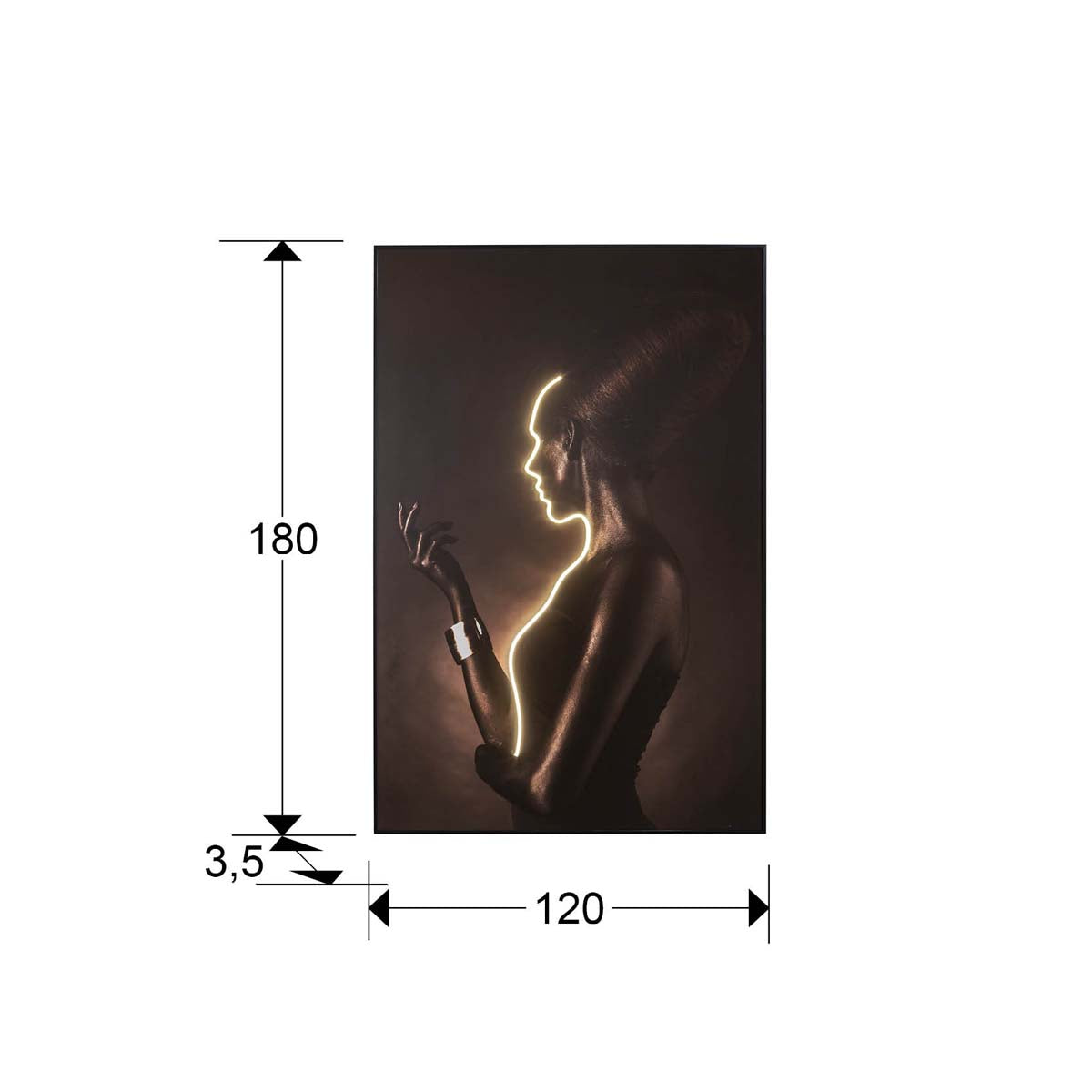 SILUETA - ARTĂ LUMINĂ LED 120x180