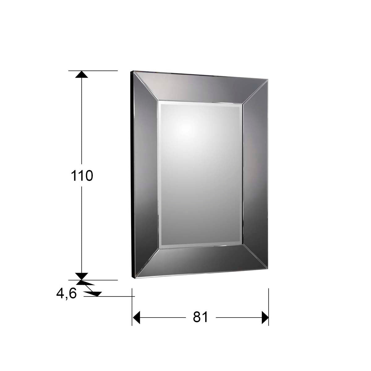 OGLINDA ROMA, 110X81, RAMĂ FUMURIE