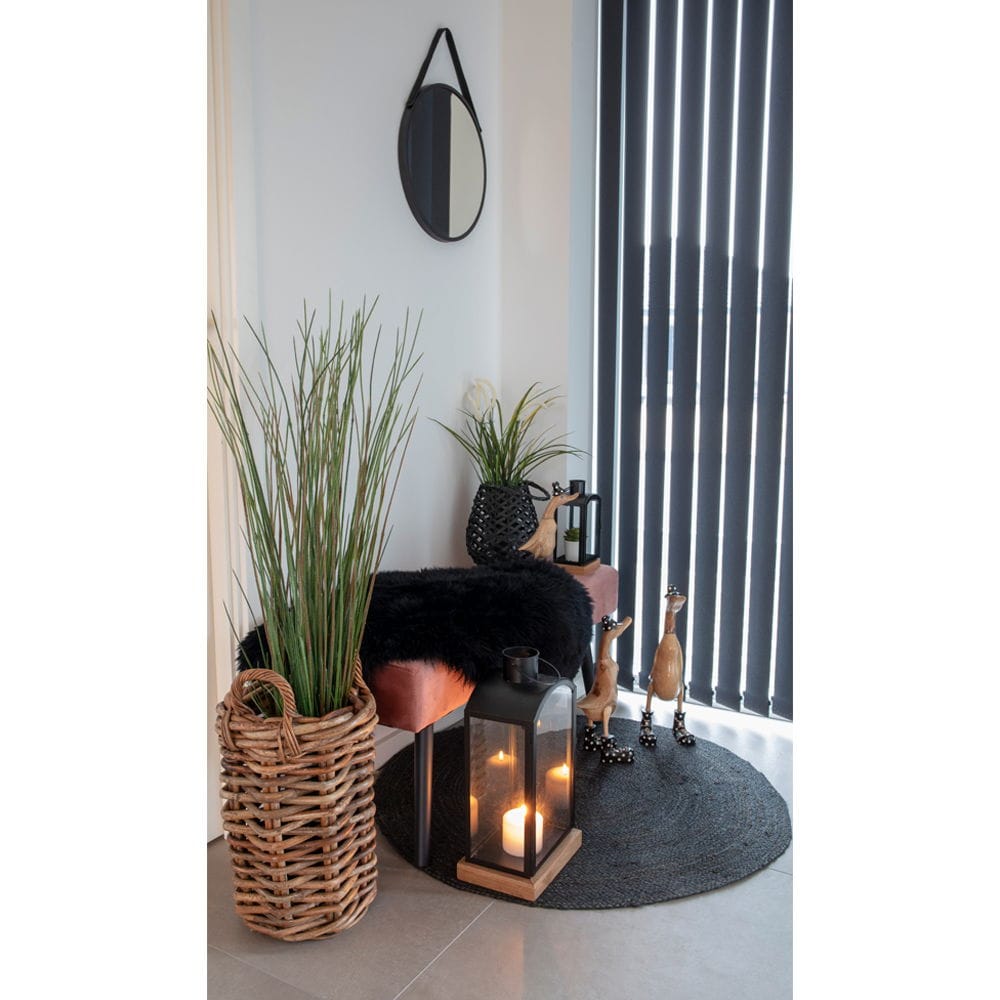 PIELE DE MIEL NEAGRA