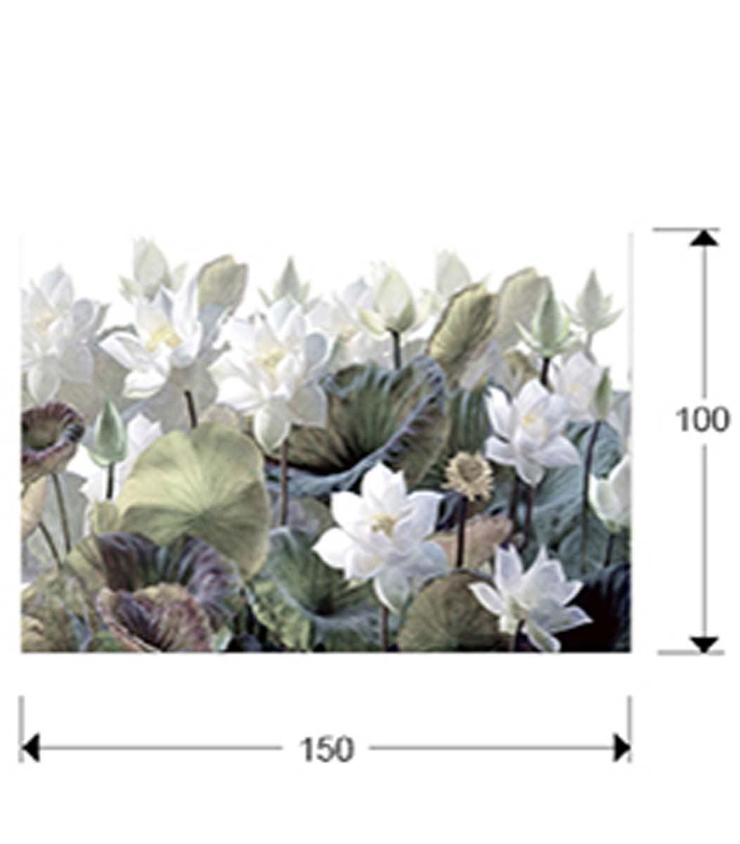 FOTOGRAFIE NENUFARES, 150x100