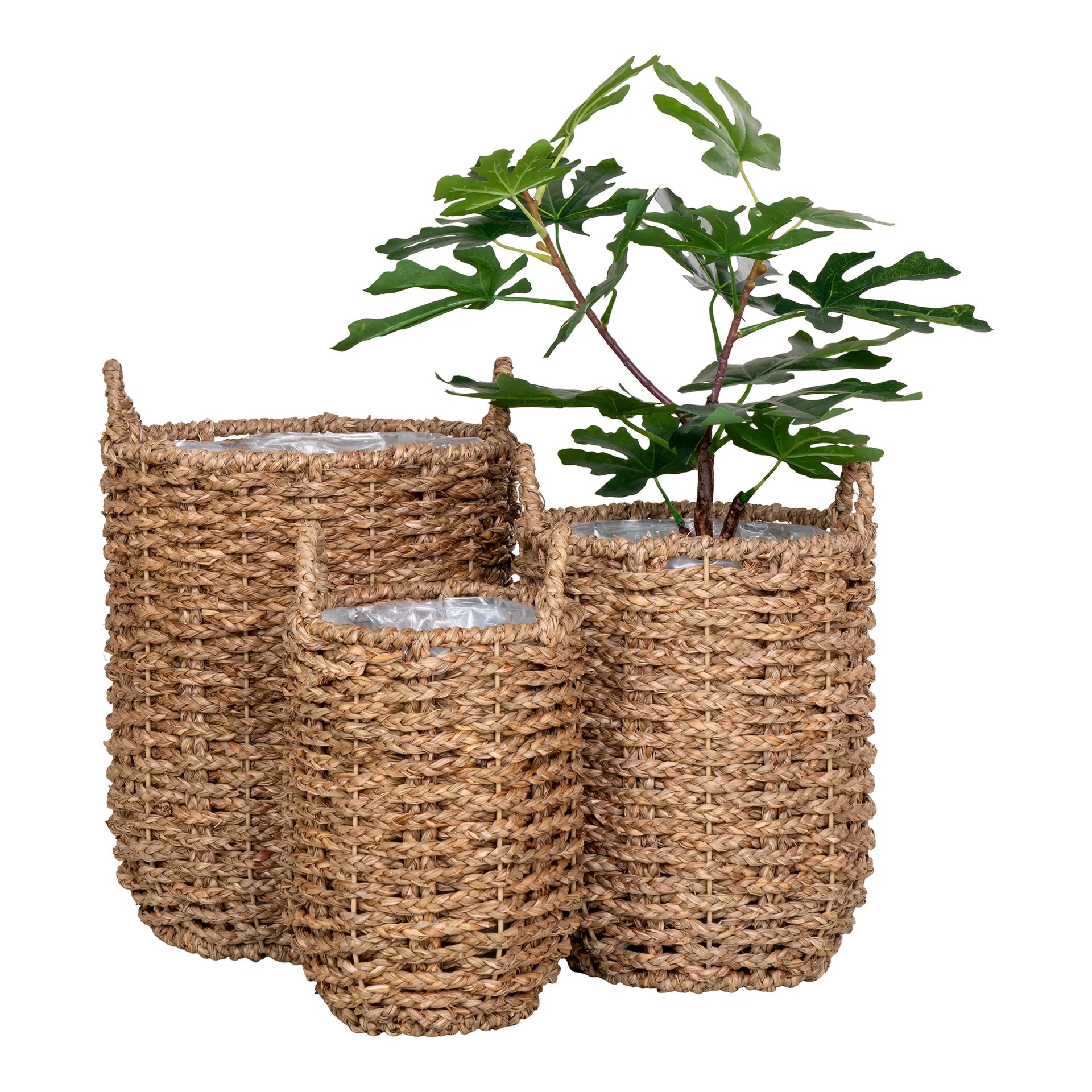 Coşuri de culoare - Seagrass - Natural