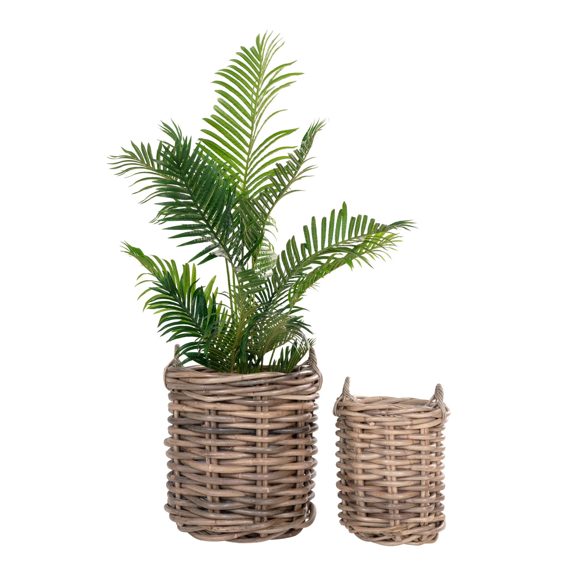 Coșuri Burton - Rattan - Natural