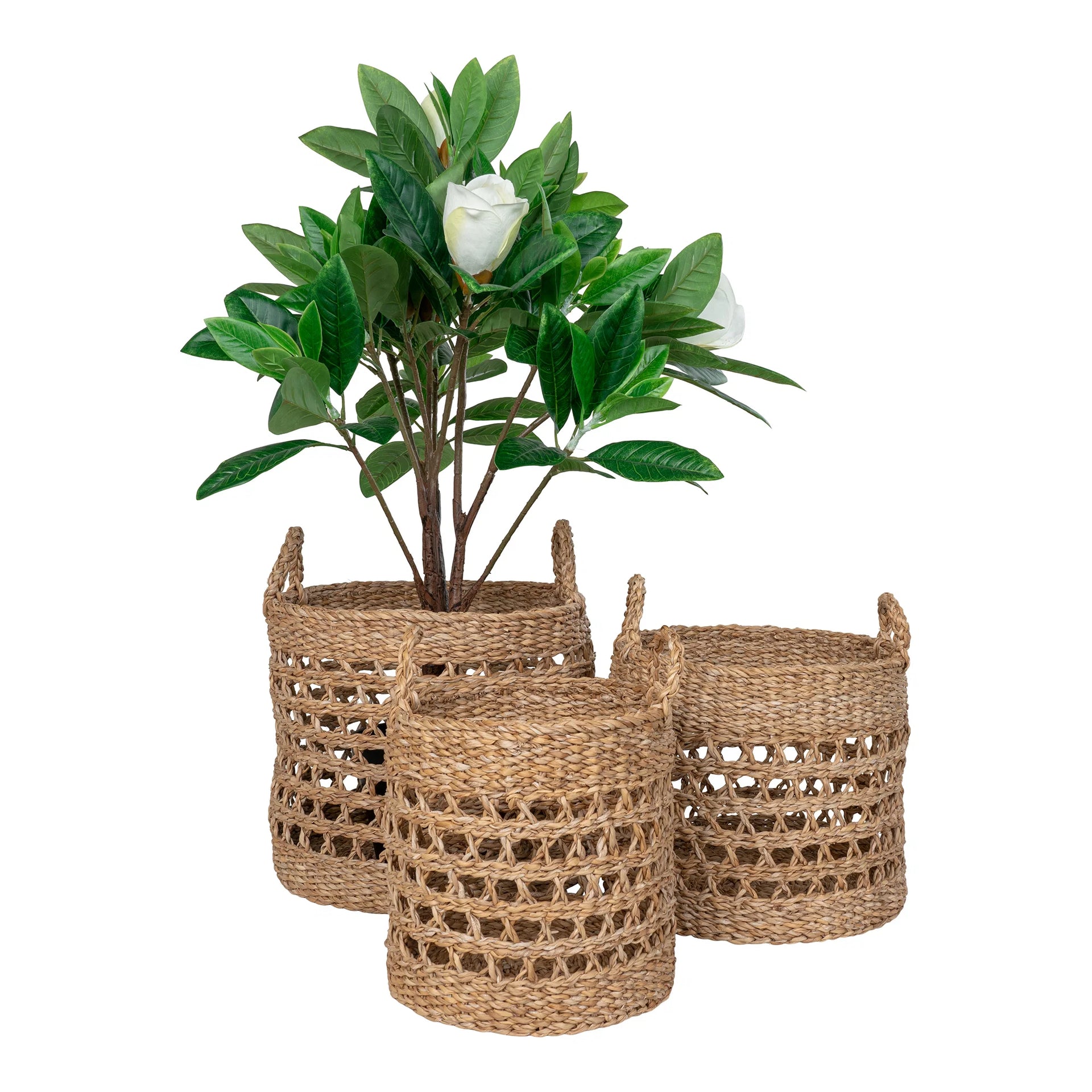 Coşurile Balok - Seagrass - Natural / Black