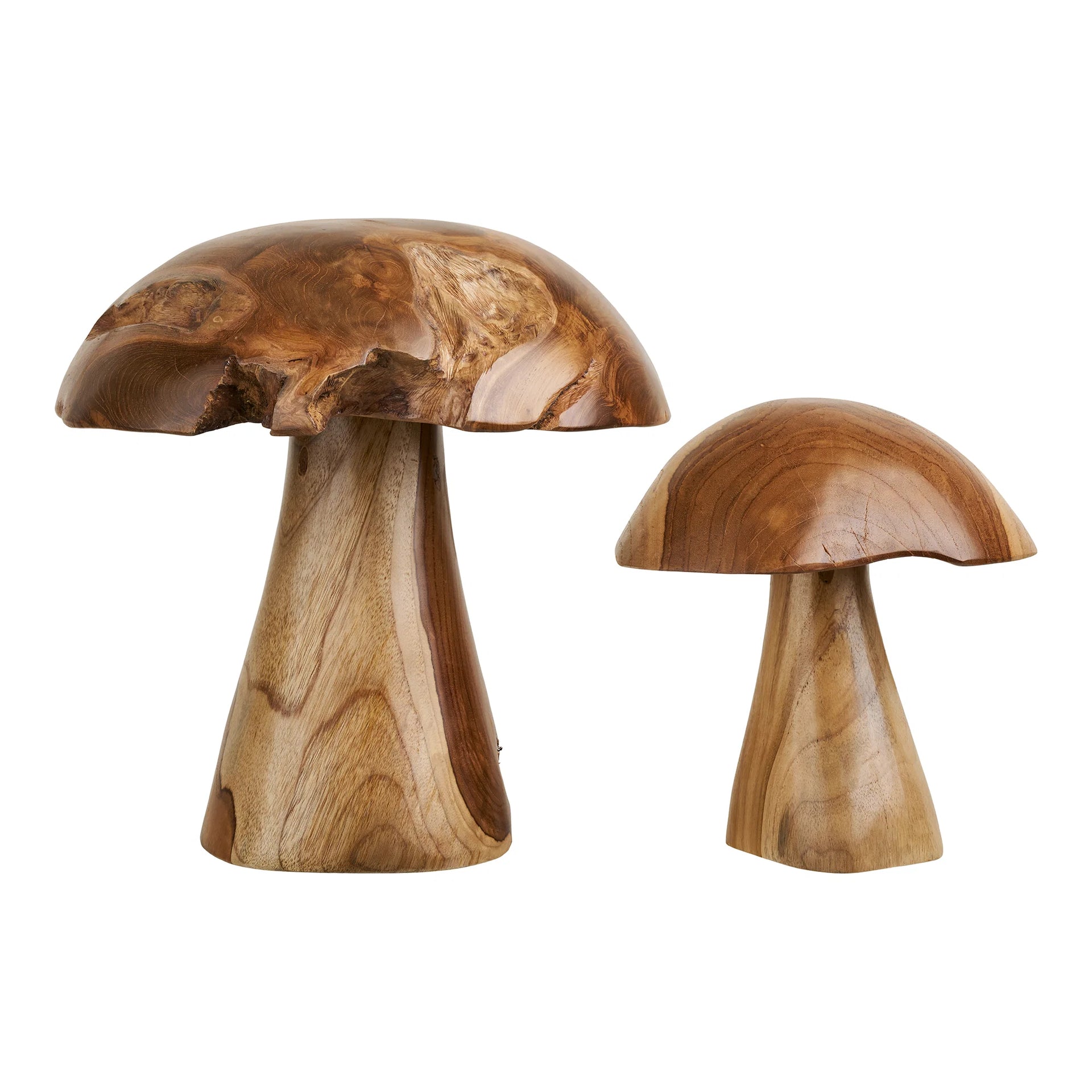 Ciuperci Kodi Decorative - Teak - Naturale