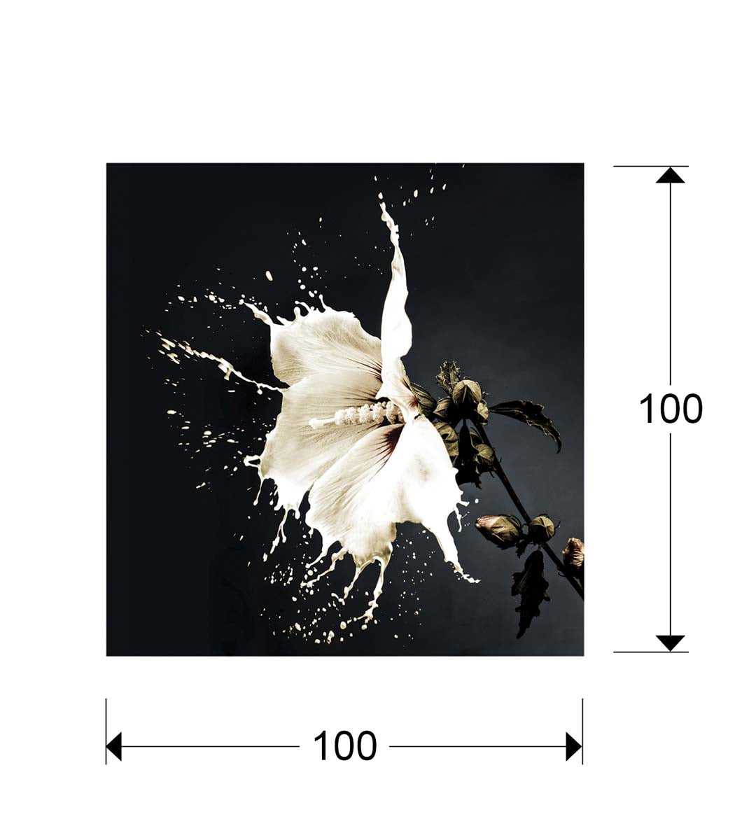 FOTOGRAFIE SPLASH, 100x100