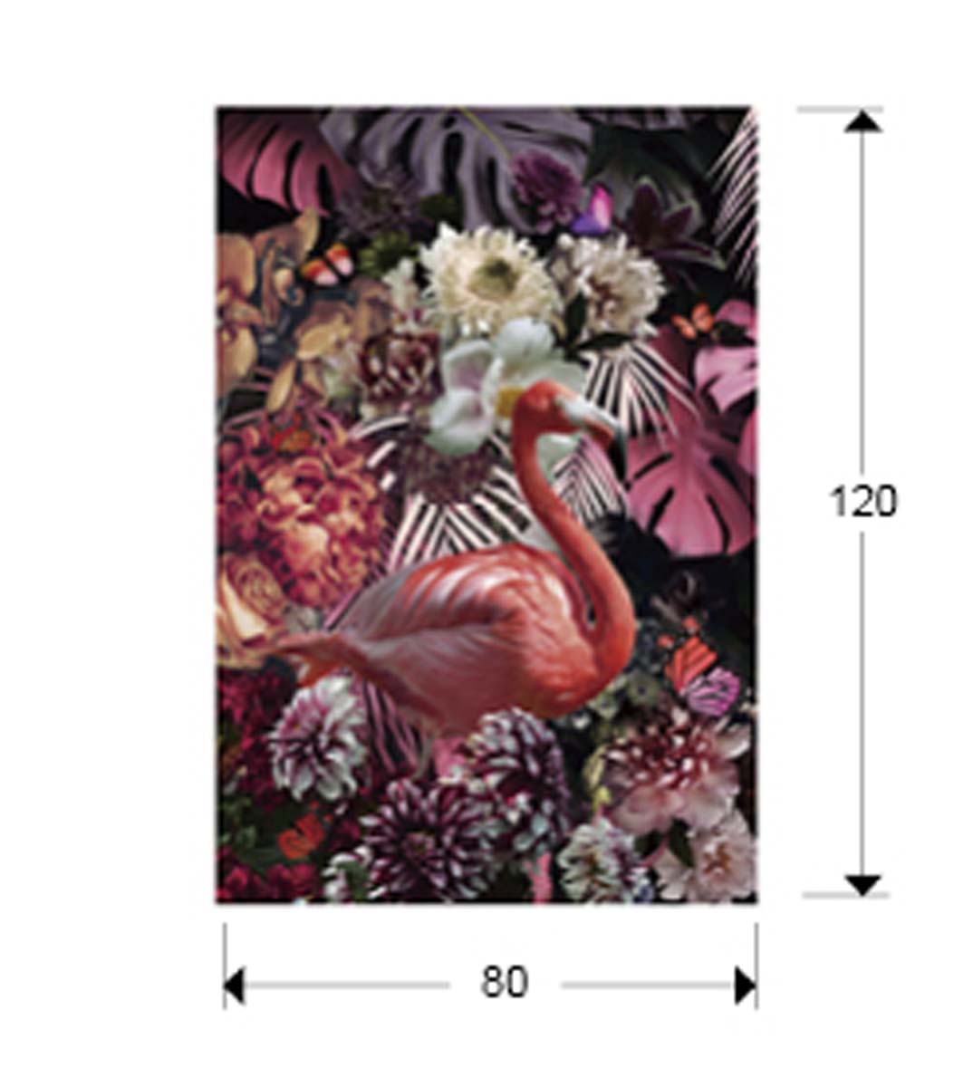 FOTOGRAFIE FLAMENCO, 80x120