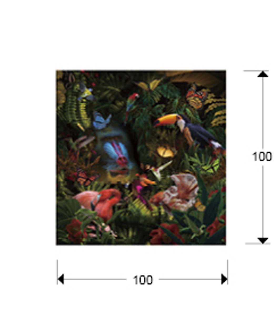 FOTOGRAFIE SELVATICA, 100x100