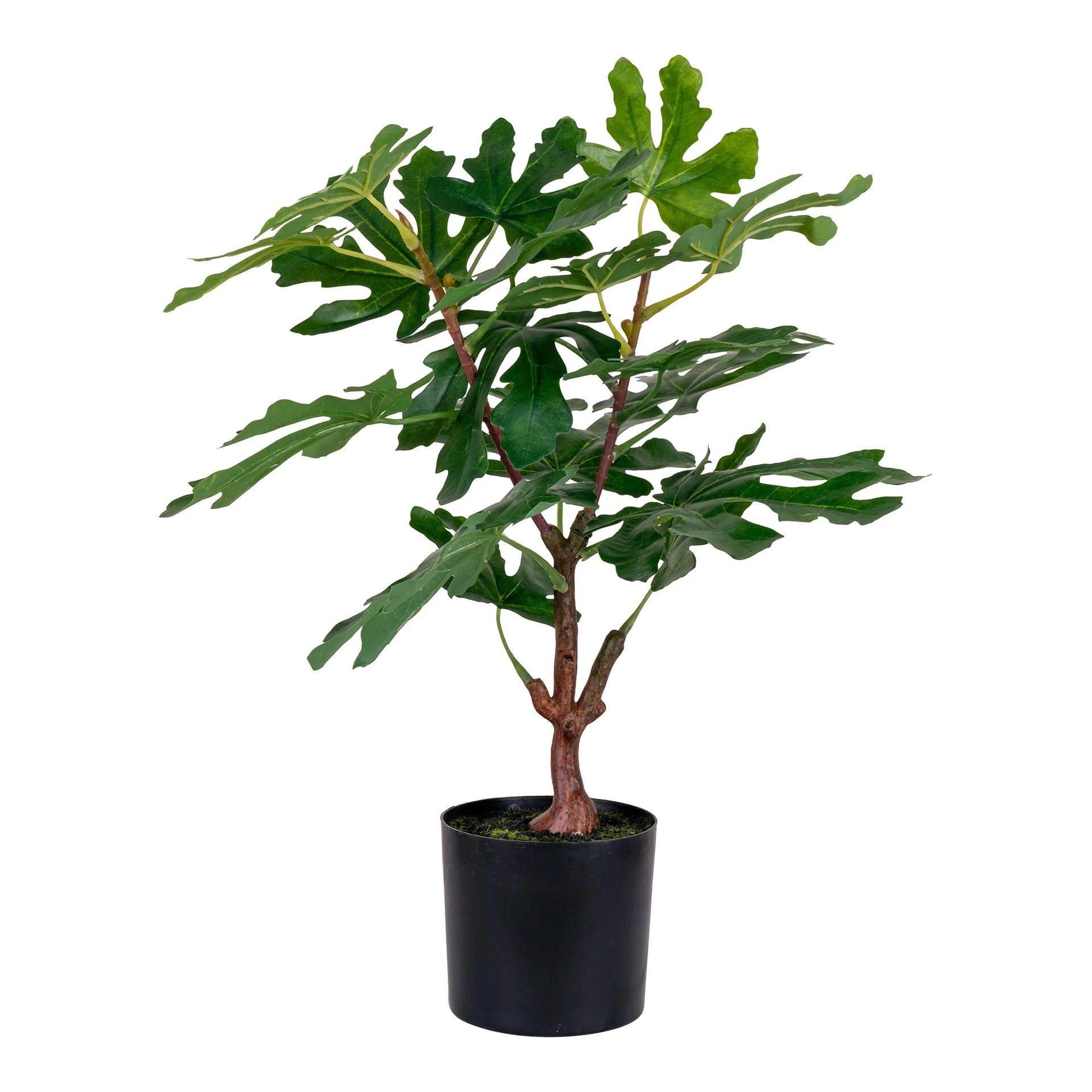 Copac de smochin - plastic PE - verde