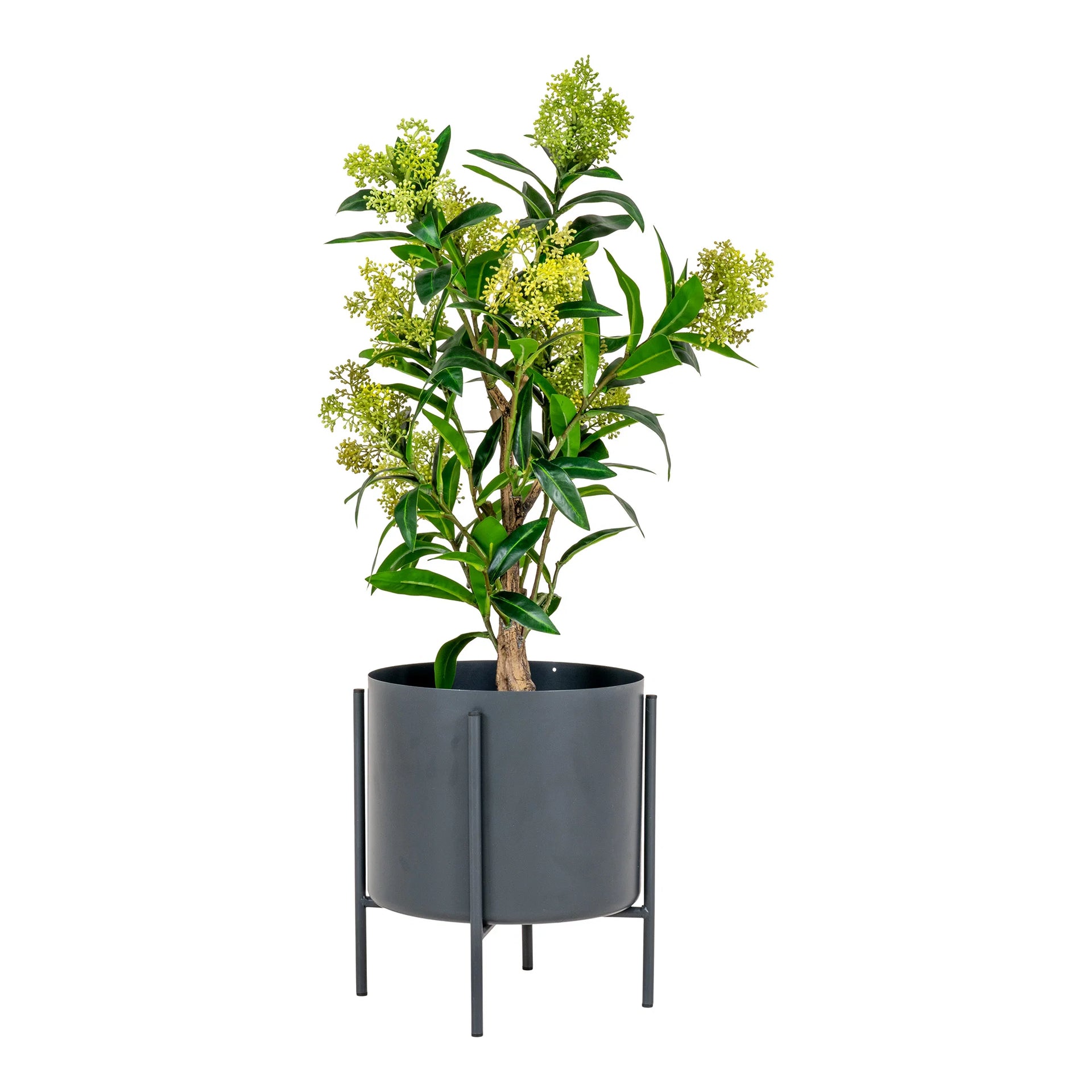 Skimmia Tree - plastic PE - verde