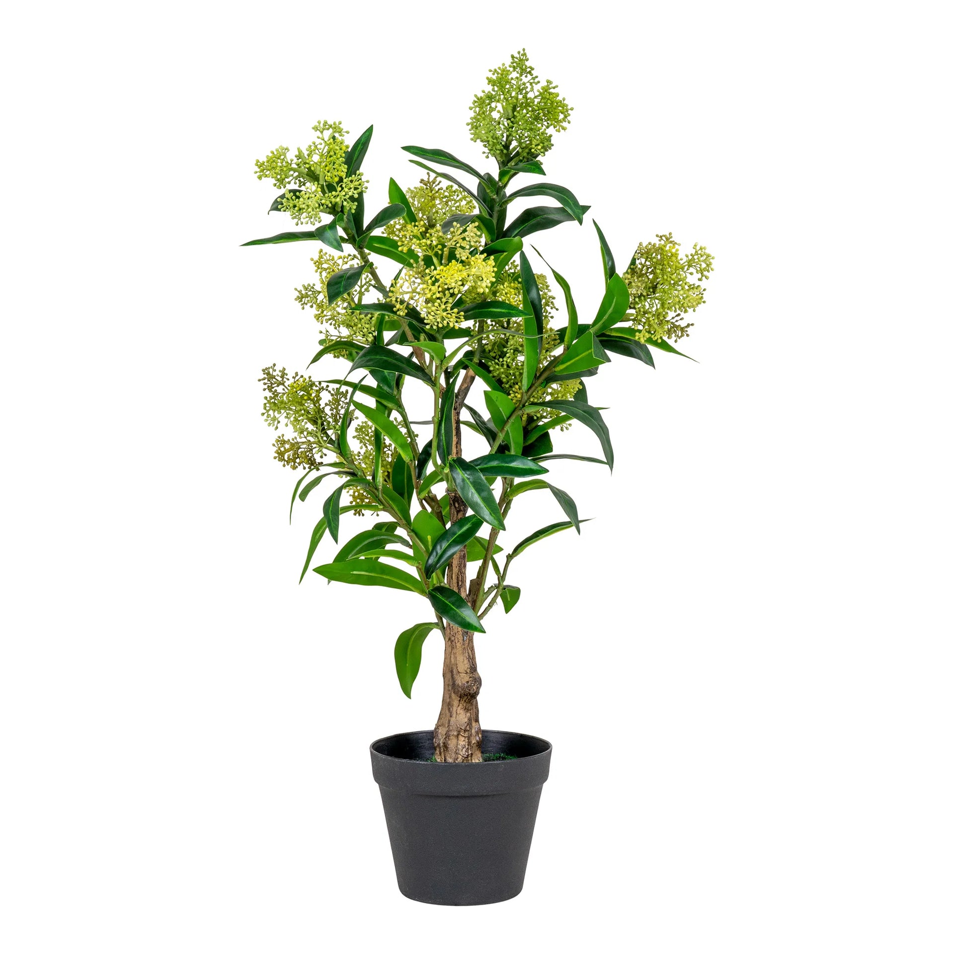 Skimmia Tree - plastic PE - verde