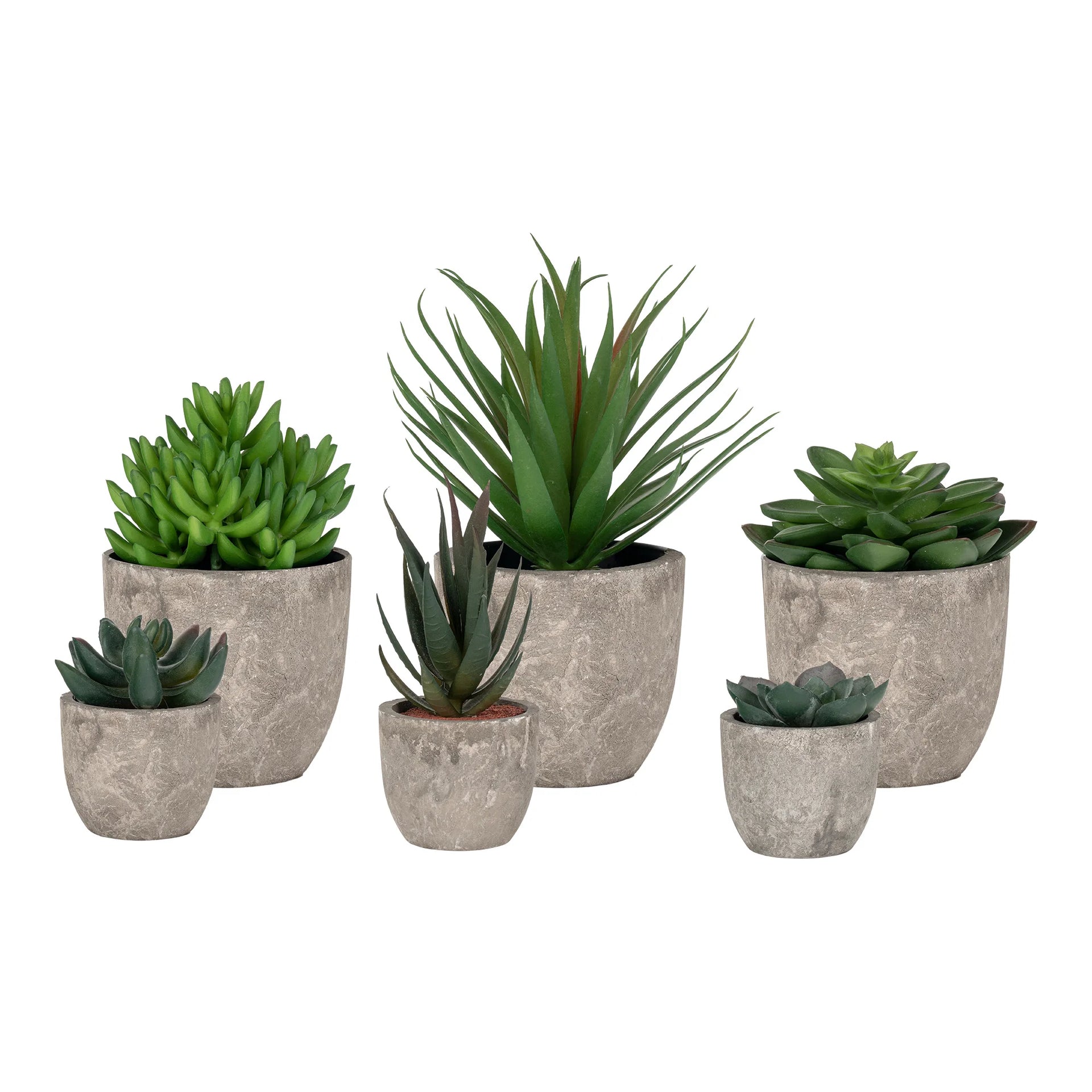 Spello Flower Display - Plastic PE, Poliester - Verde