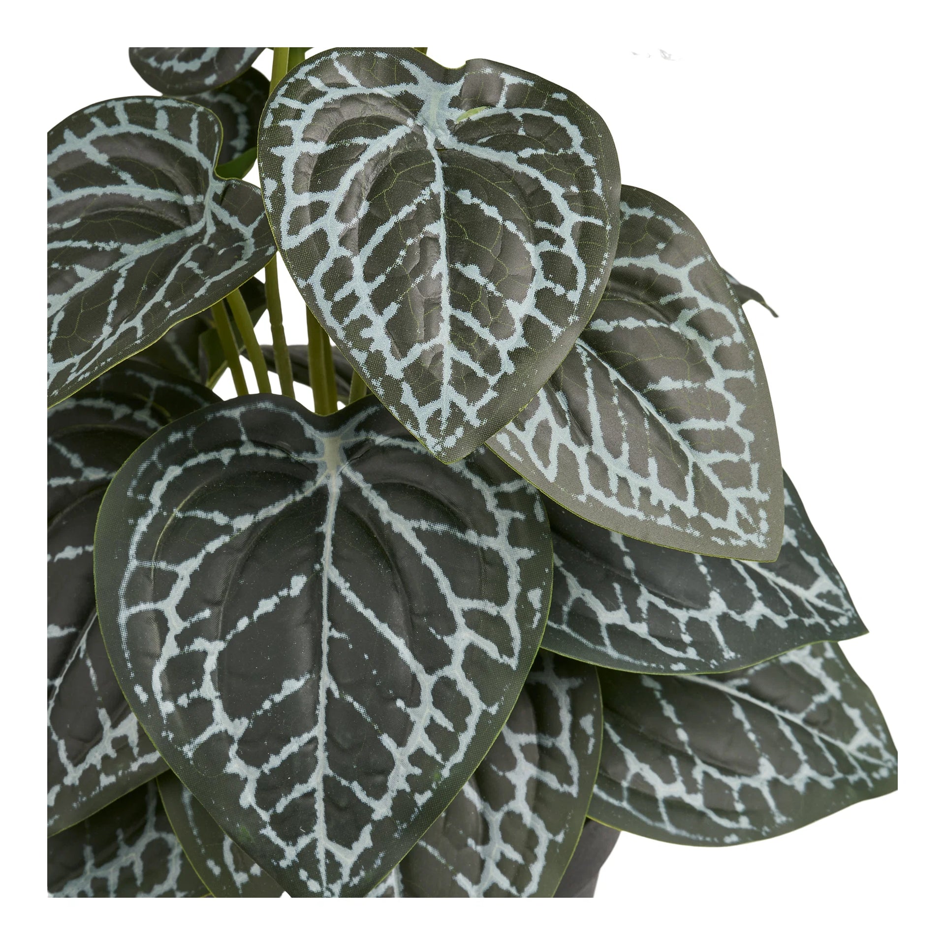 Plastic PE vegetal - verde