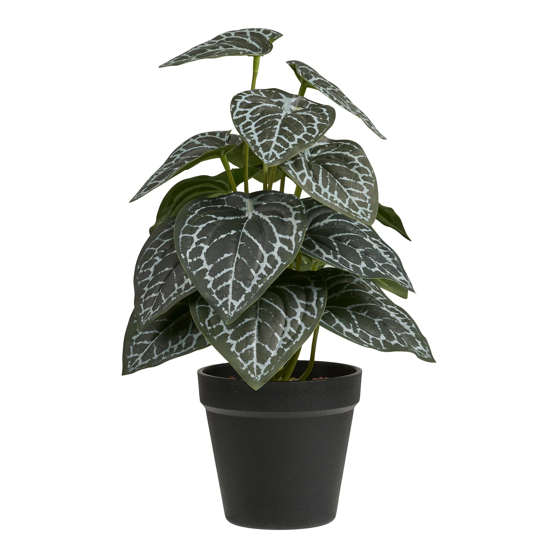 Plastic PE vegetal - verde
