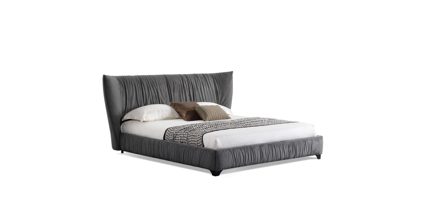 Pat Dylan – design modern și elegant