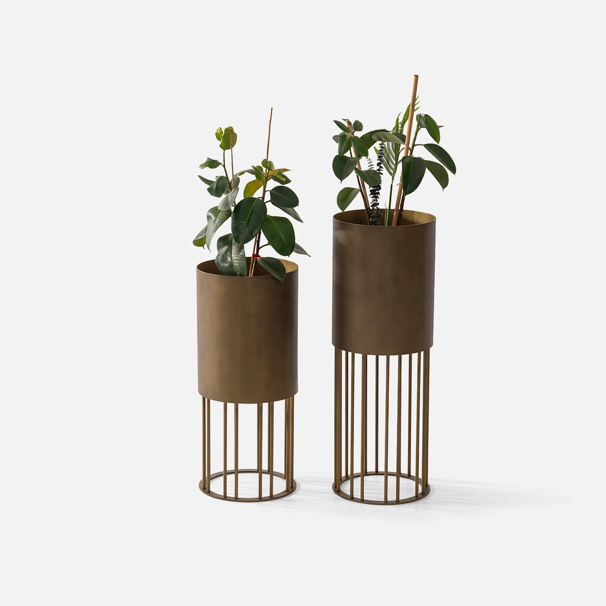 GHIVECE DE FLORI FIORINA