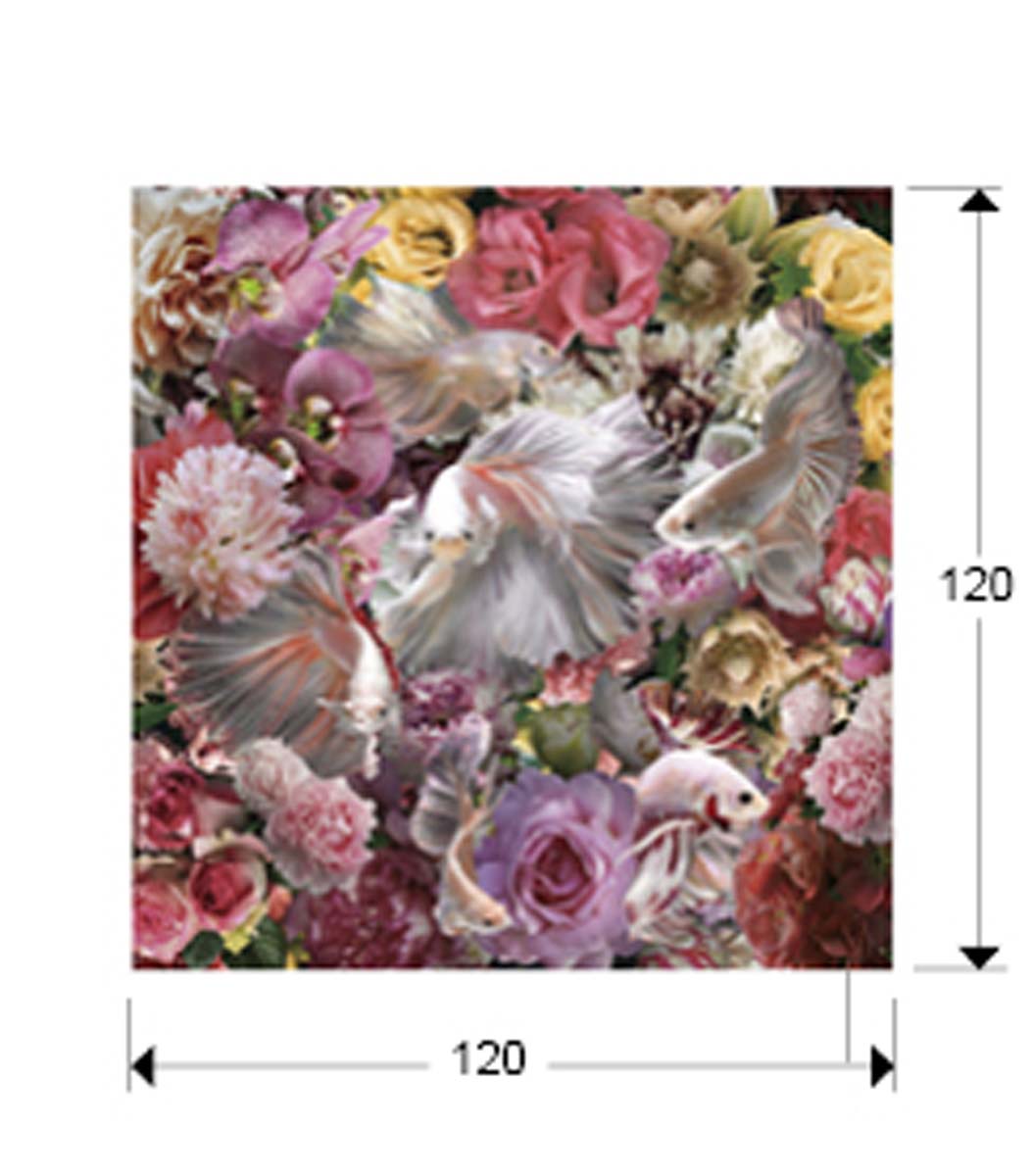 Fotografía de Pez Luchador Siam 120x120 montada en vidrio securizado con feronerie para colgar
