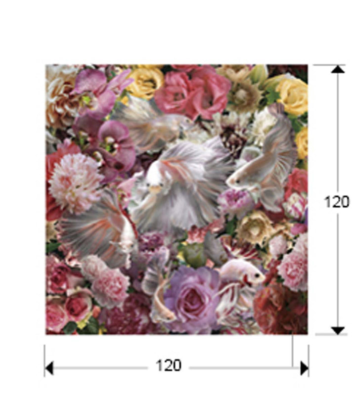 Fotografía de Pez Luchador Siam 120x120 montada en vidrio securizado con feronerie para colgar
