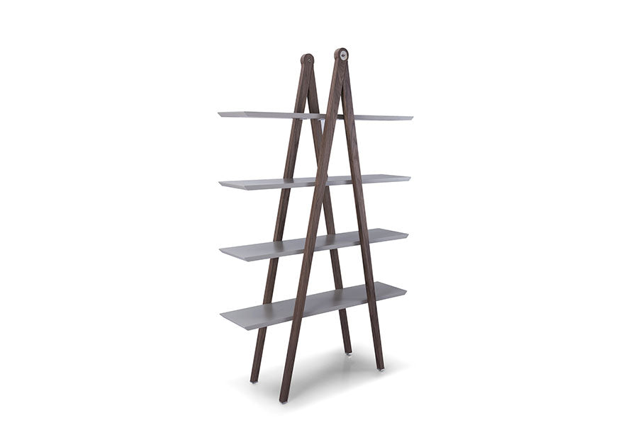 BIBLIOTECA RAFTURI FORTUNA