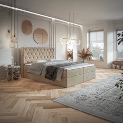 Splendore Jasmine 24