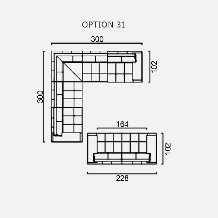 LUMINA - Optiunea 31