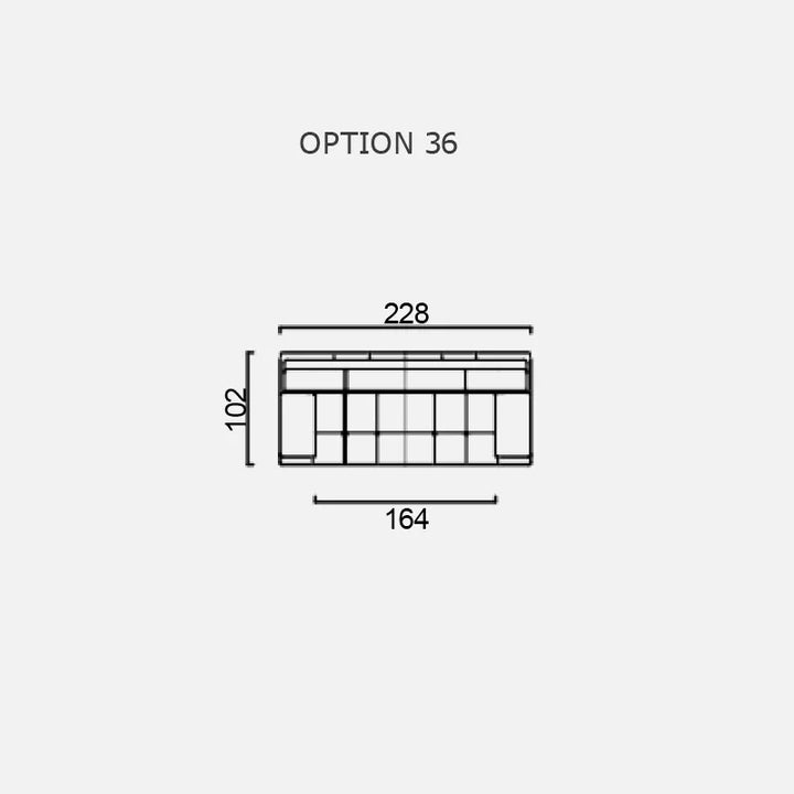 LUMINA - Optiunea 36