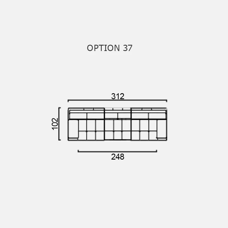 LUMINA - Optiunea 37