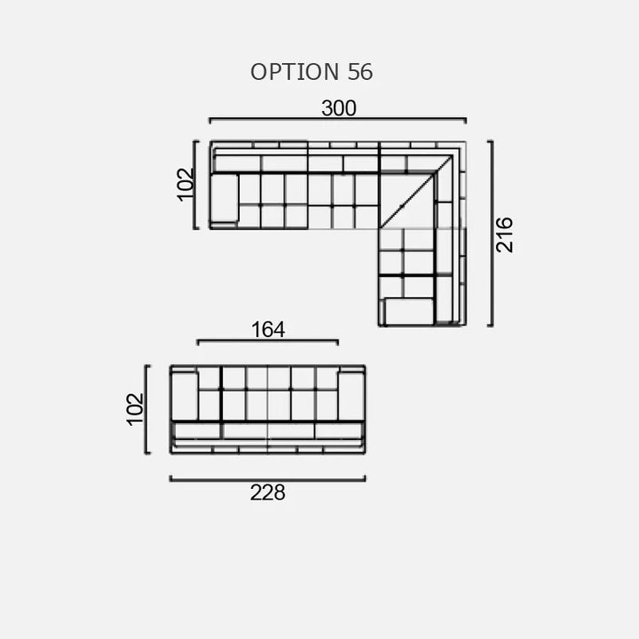 LUMINA - Optiunea 56