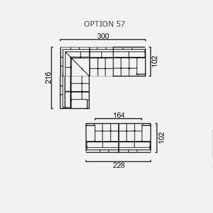 LUMINA - Optiunea 57