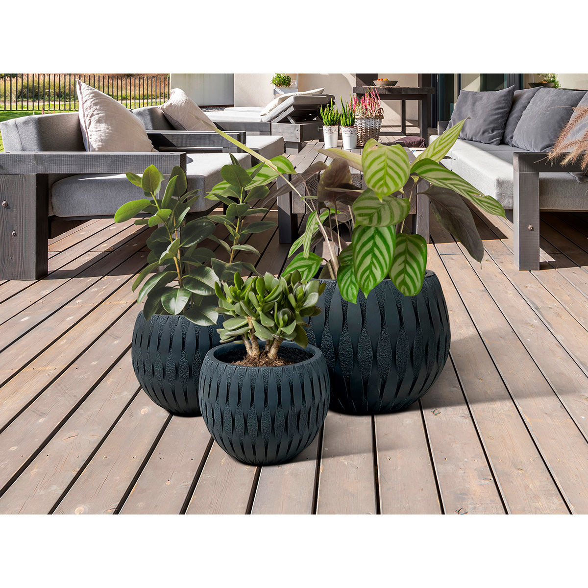 YUCA - SET 3 GHIOANE - NEGRU