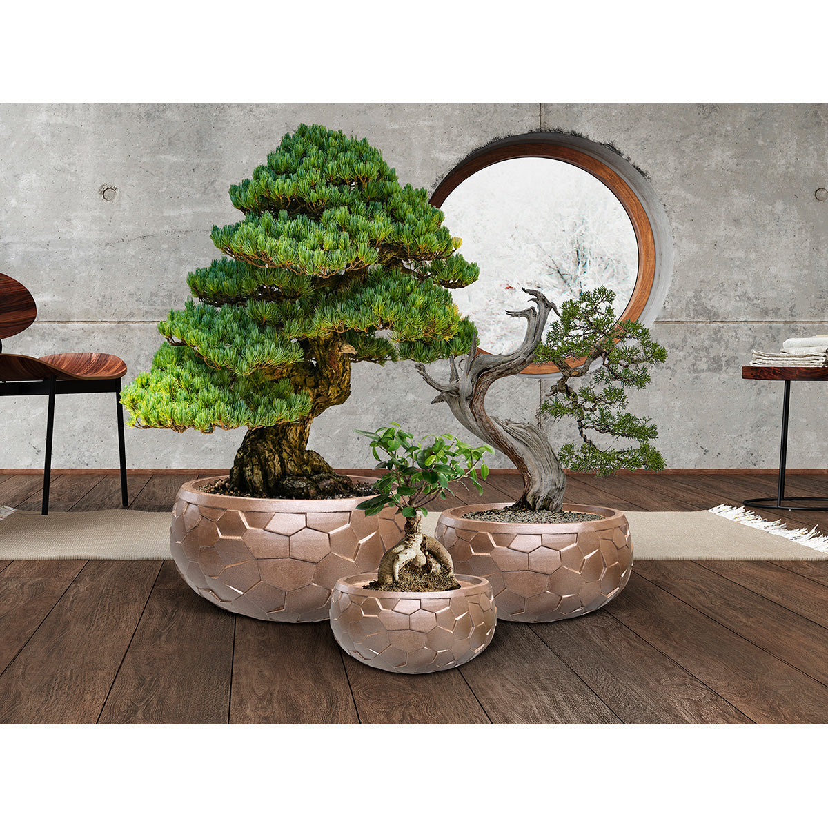 CANELA- SET 3 JARDINETE- BRONZ