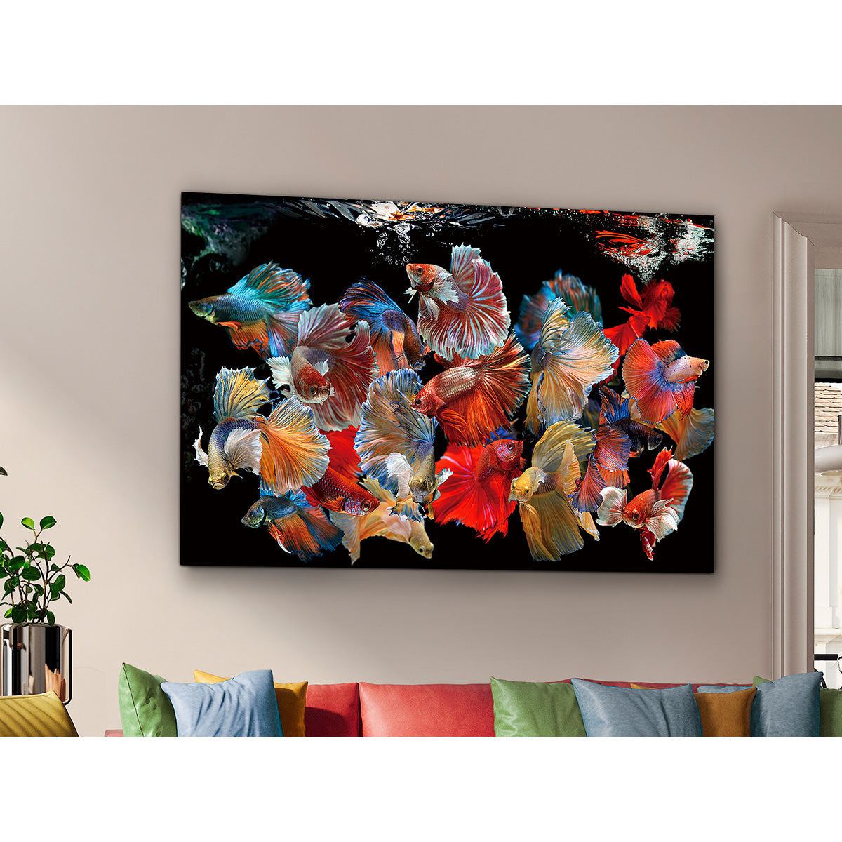 FOTOGRAFIE PECES SIAM, 150x100