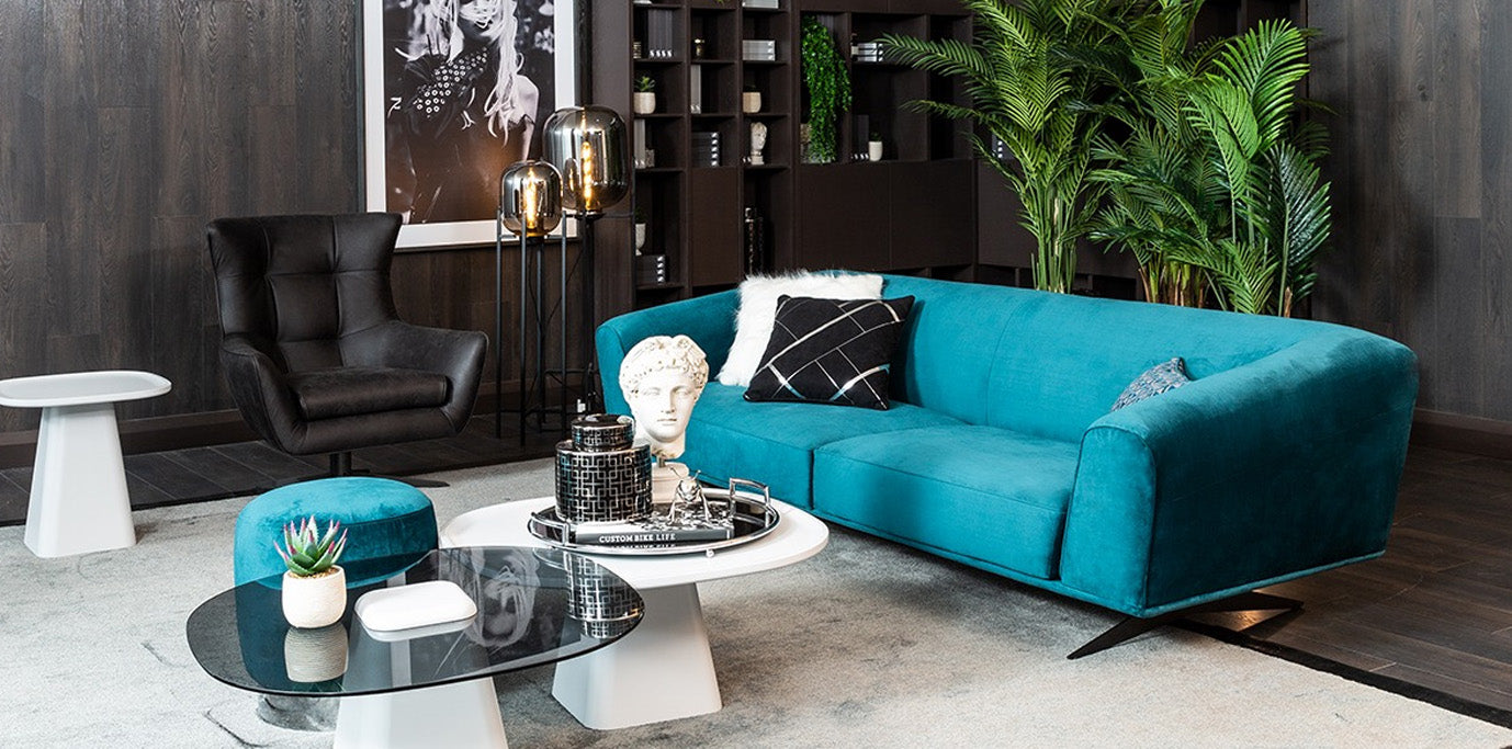 Compoziție Oasi – Relaxare și Eleganță pentru Orice Spațiu