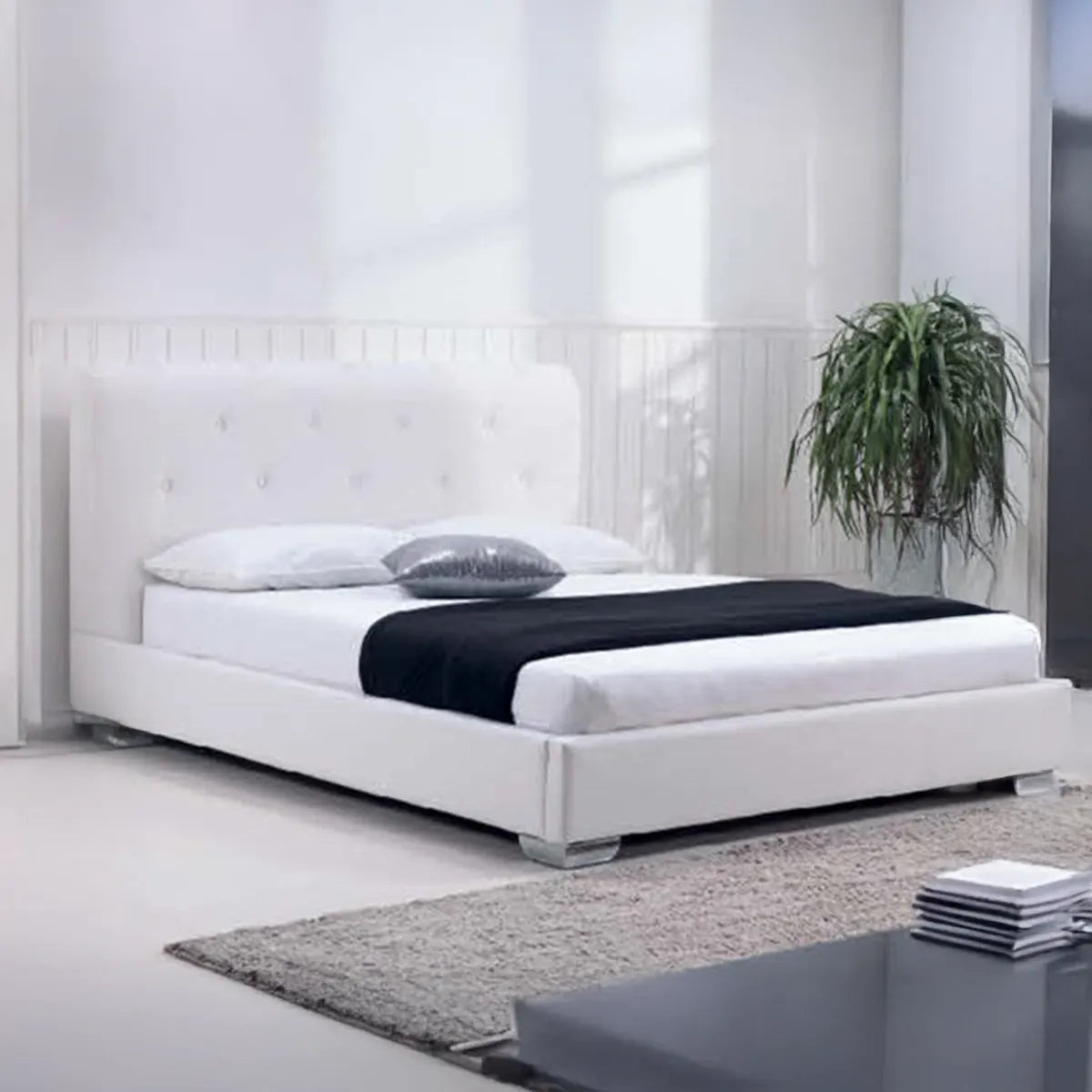 Pat Teramo - Design modern