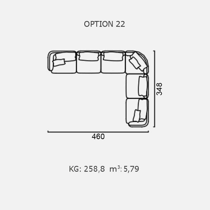 POLLINE - Optiunea 22