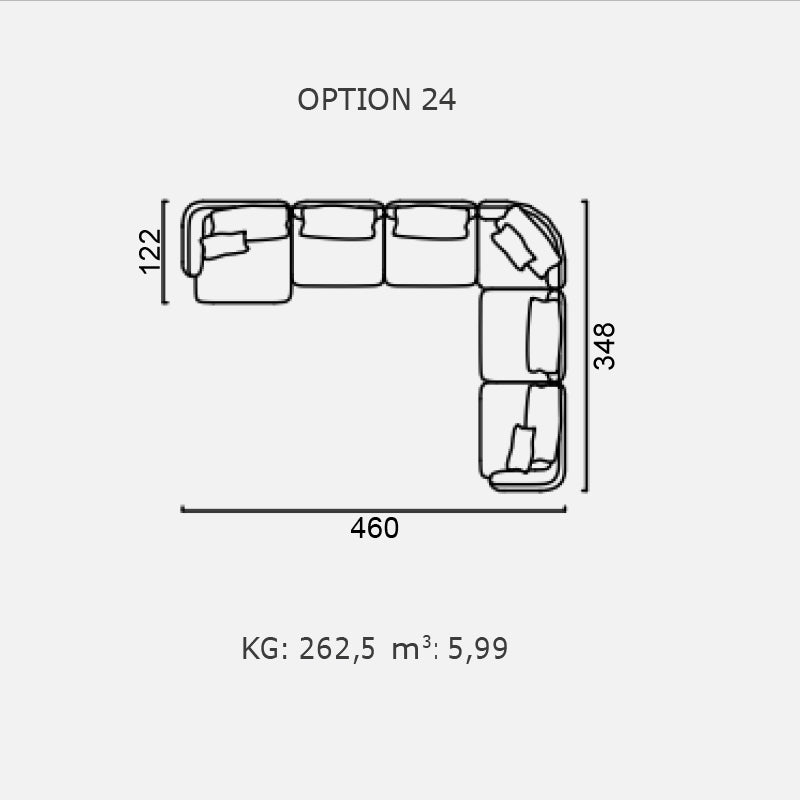 POLLINE - Optiunea 24