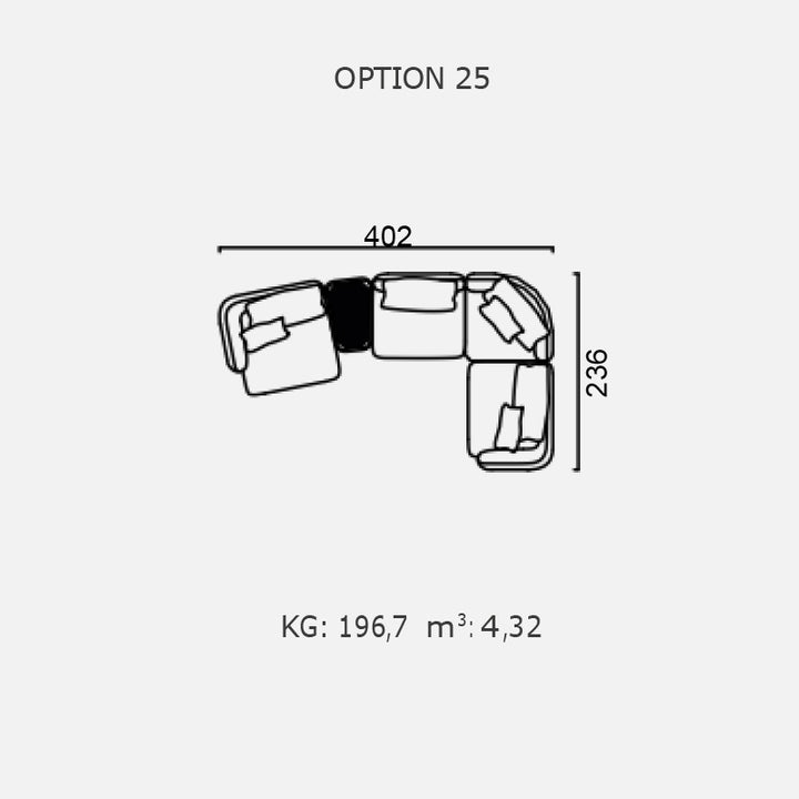 POLLINE - Optiunea 25