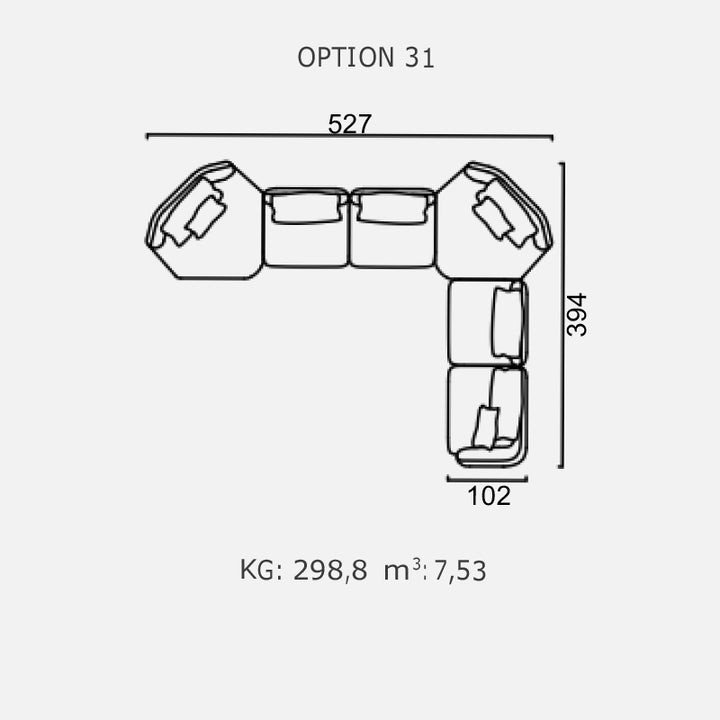 POLLINE - Optiunea 31