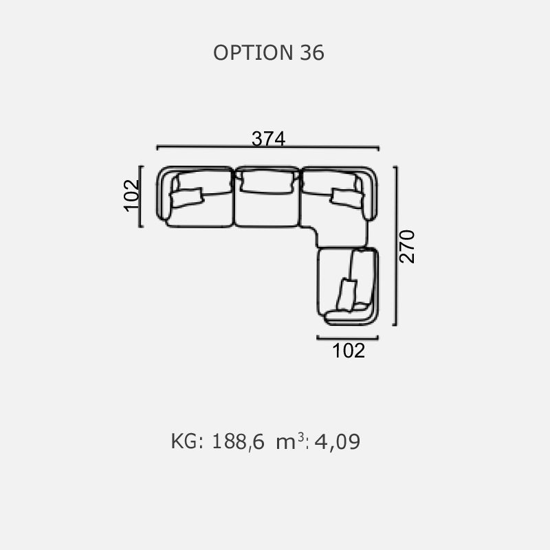 POLLINE - Optiunea 36